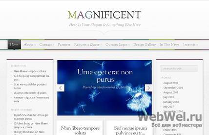 Magnificent - Премиум тема WordPress от ElegantThemes